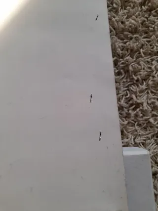 maxi clendario Michael Jackson 2012