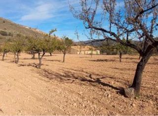 Parcela Rústica 8500 metros en la Zafra Monóvar
