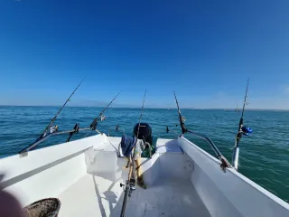 Embarcación Taylor 5,30m