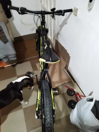 Bicicleta Scott Scale 960