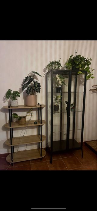 Vitrina cristal negro