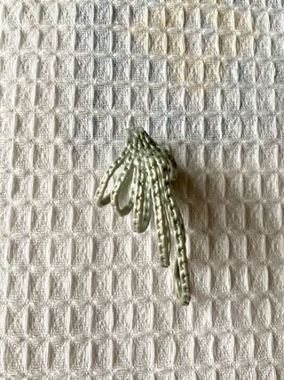 Accesorios variados Monster High