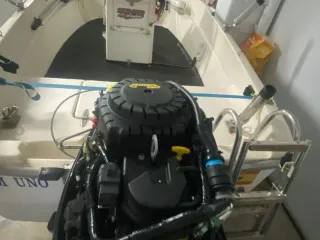 Motor Mercury 30 CV 4T IMPOLUTO