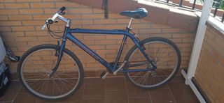 Bicicleta Montaña Grisley Orion 10 Aluminio 26"