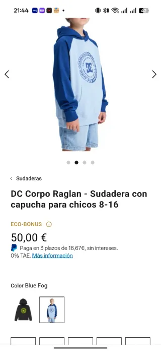 Sudadera DC Shoes con capucha