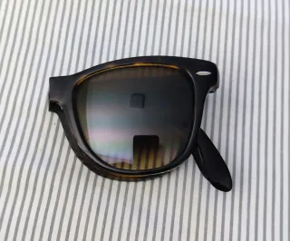 Occhiali da sole Ray-Ban marroni