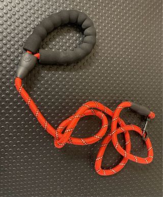 Correa para perro con mango acolchado