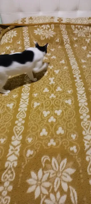 Manta Lana Reversible