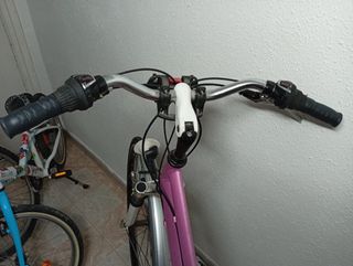 Bicicleta rosa con cesta