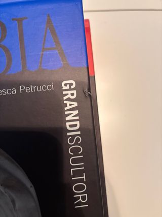 Collana sui grandi scultori dell’Editoriale Espres