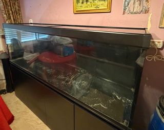 Acuario 600 litros + mueble + calentador