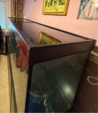 Acuario 600 litros + mueble + calentador