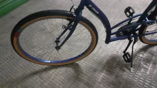 Bici paseo rueda grande revisada