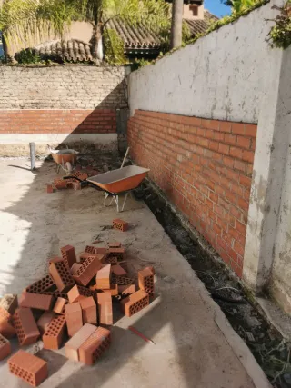 Albañil profesional