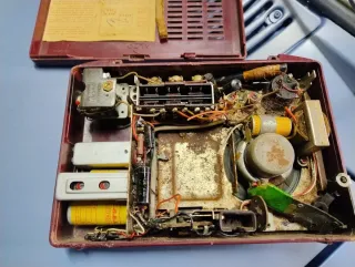 Radio Voxson Marrone