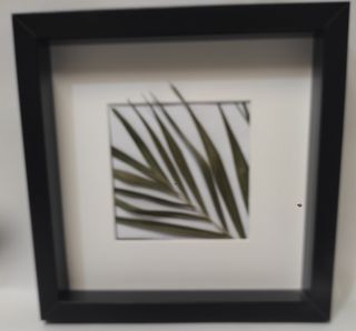 Cuadro Decorativo Hoja Verde Marco Negro