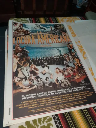 Cartel Película La Locura Americana