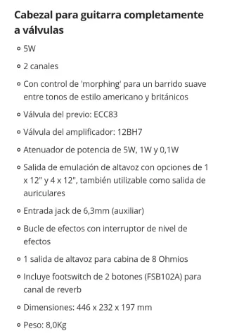 Cabezal y Pantalla Guitarra