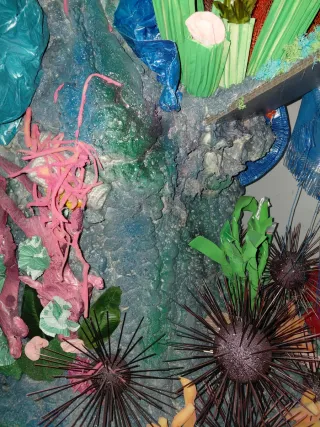 Carroza tematica Fondo Marino