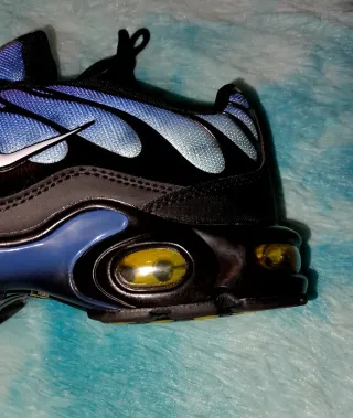 Nike TN Rosa e Blu Nuove