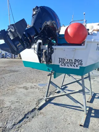 Barco 4.20m con motor Suzuki 30cv