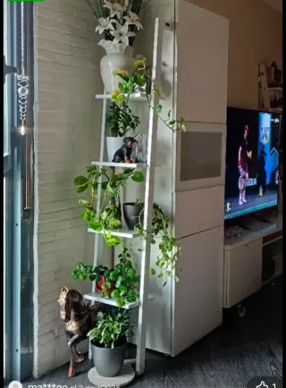 Estantería blanca de madera