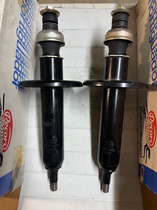 Amortiguadores Renault 18 Diesel Record