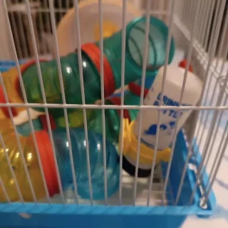 Jaula Janster con toboganes