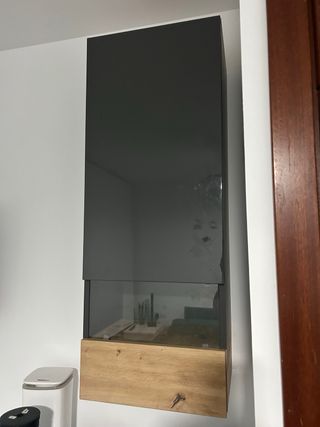 Vitrina de cristal y madera