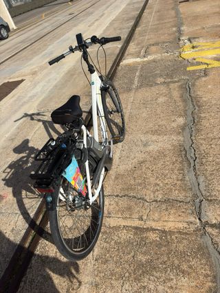 Bicicleta Eléctrica Flyer