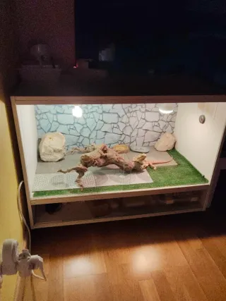 Terrario para reptiles