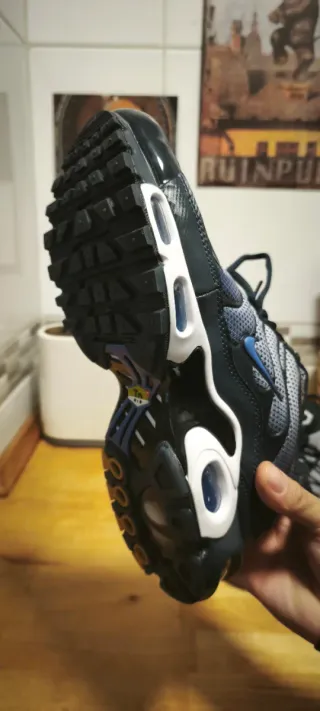 Zapatillas Nike TN Air Max Plus