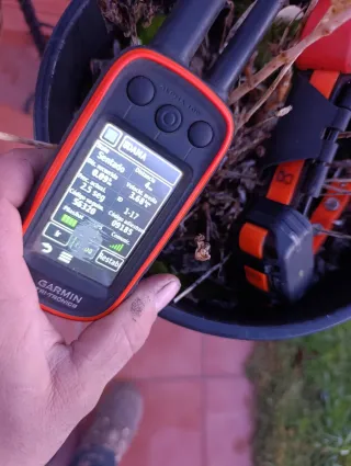 Collar Garmin T5 Mini