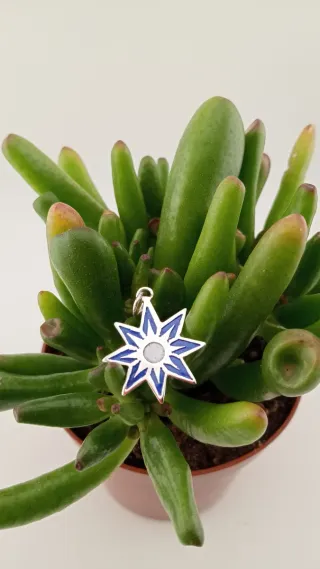 Colgante Talismán Estrella de Sirius