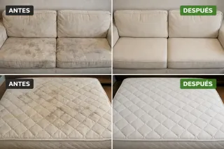Limpieza profunda de muebles y colchones