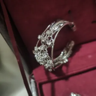 Aderezo Fallera Plata Completo