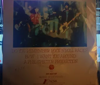 Ramones Rock n Roll Radio. record good. Sleeve ok