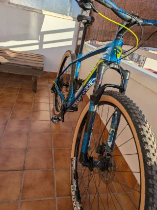 Berría Bravo 6 Carbono Talla M