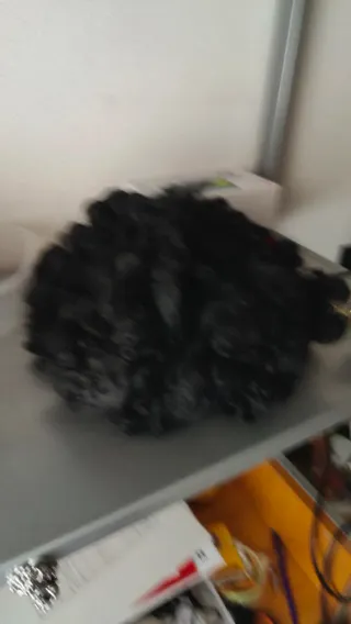 Accesorios de disfraces varios