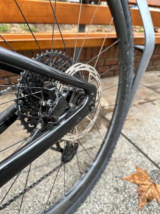 Specialized Diverge Expert Carbon 2022 - talla 49