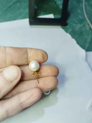 N445 Orecchini Perla 10mm Base Inox Oro madreperla