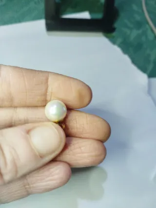 N445 Orecchini Perla 10mm Base Inox Oro madreperla