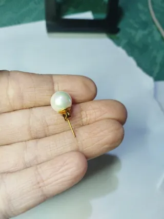 N445 Orecchini Perla 10mm Base Inox Oro madreperla