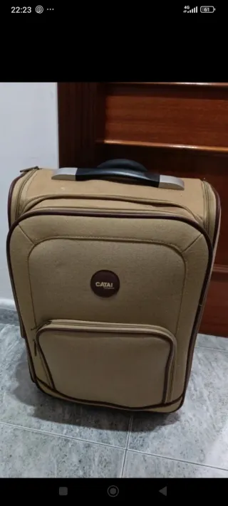 Maleta de viaje con ruedas y asa extensible