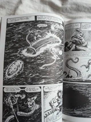 La espada salvaje de Conan 7 Edición Coleccionista