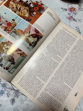 Libro cocina Salpicon de carnes