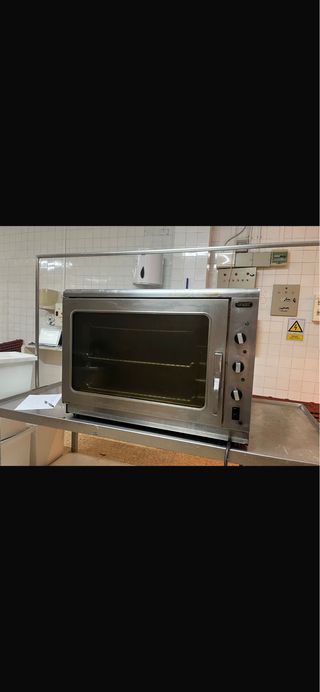 Horno eléctrico profesional