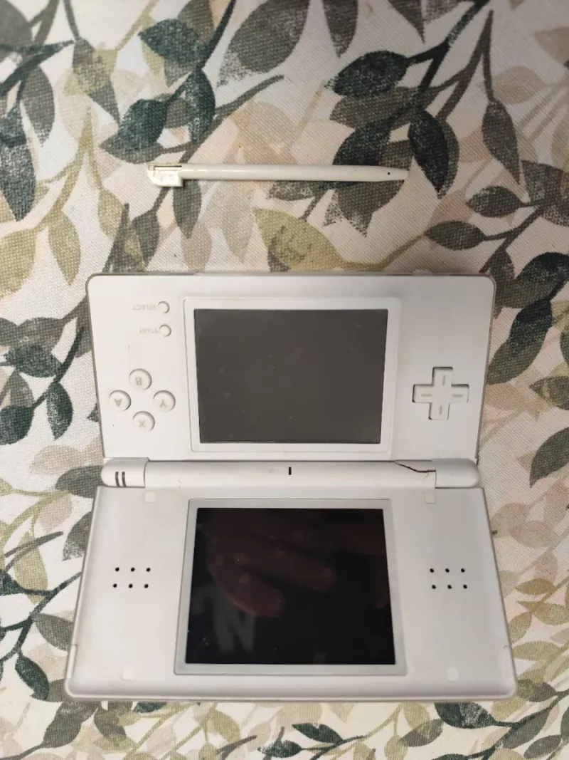 Nintendo DS Blanca