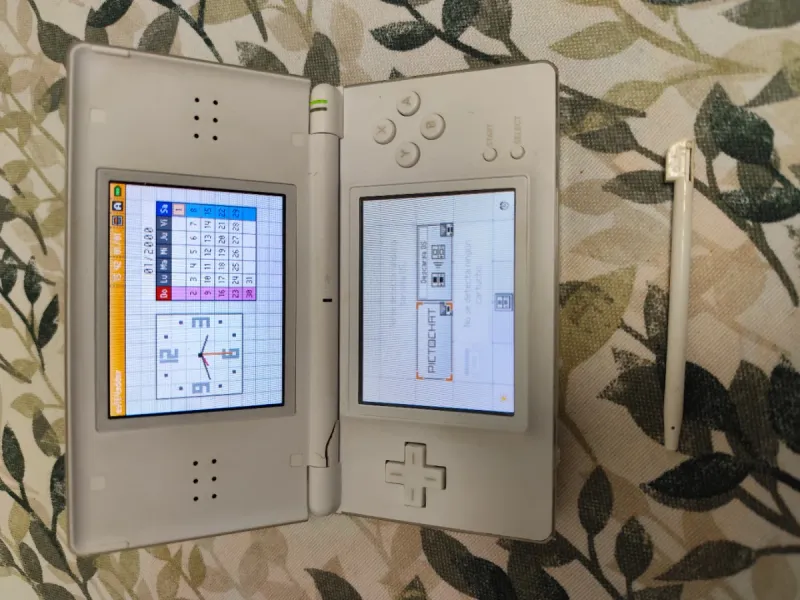 Nintendo DS Blanca afbeelding 2