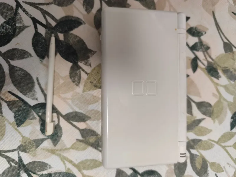 Nintendo DS Blanca afbeelding 4